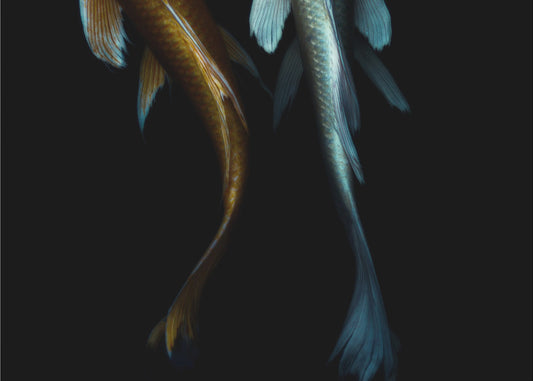 a Couple | Wallpaper