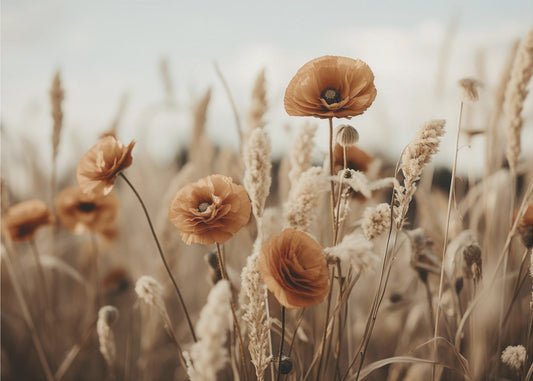 Poppies in Breeze | Wallpaper