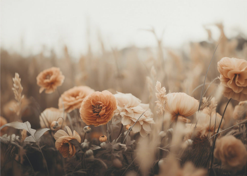 Petals in Sepia | Wallpaper