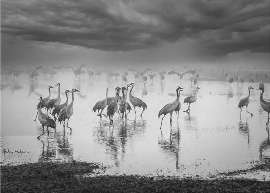 Sunrise on the lake | Wallpaper