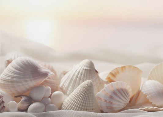 Seashell Serenity | Poster