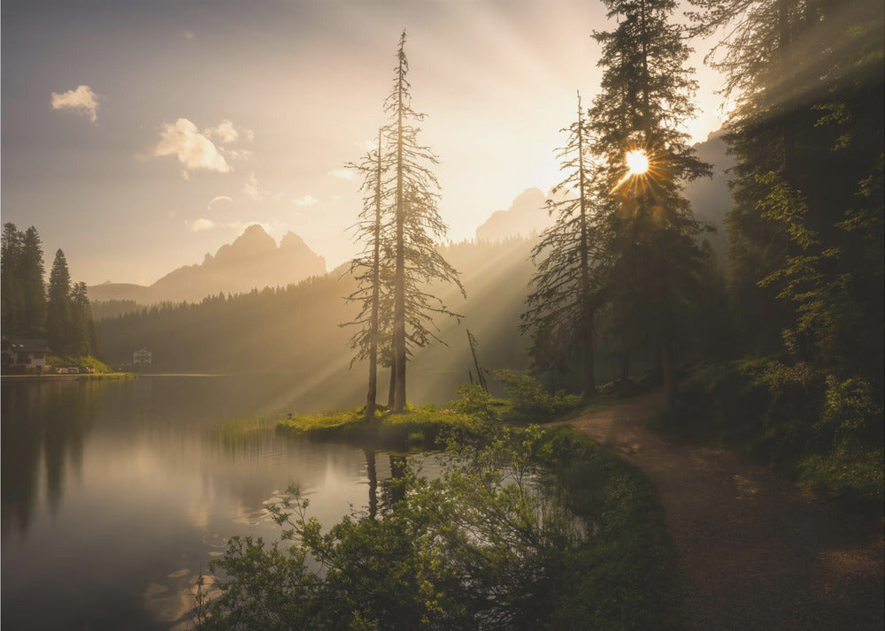 Morning Light | Wallpaper