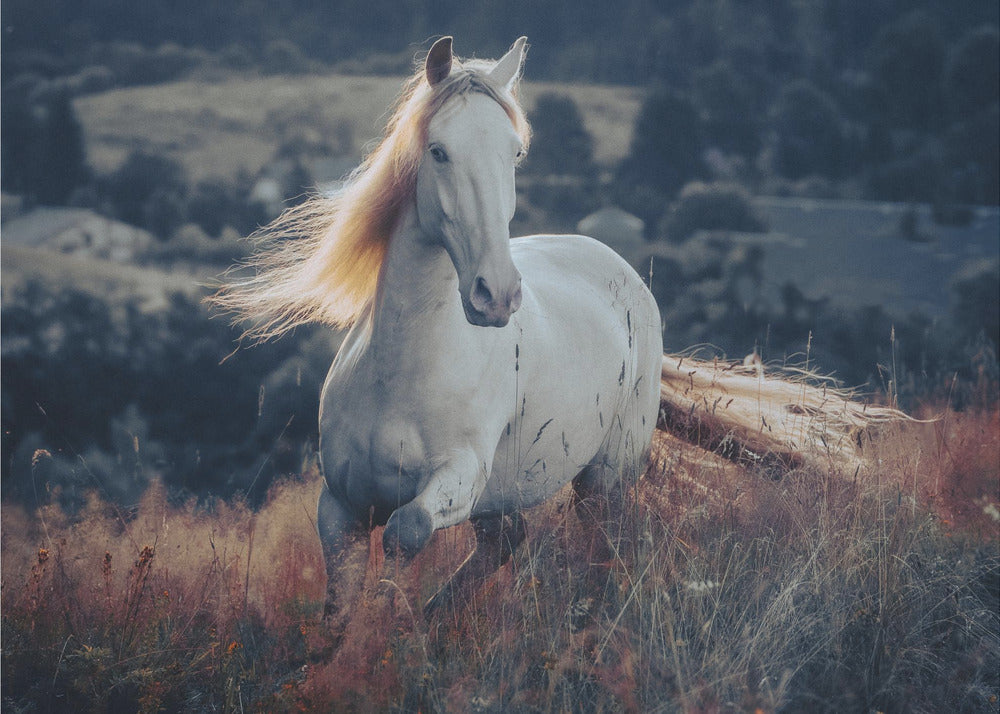 a short story about sunrise | Wallpaper