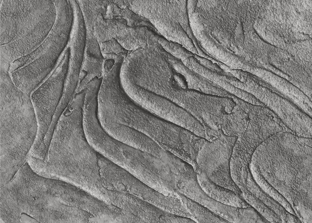 Tex1 1 Grey Dsc4506 | Wallpaper