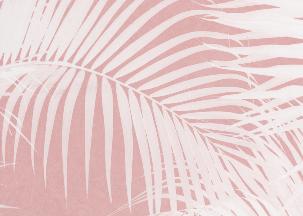 Palm Leaves On Pink Silhouette IV | Canvas