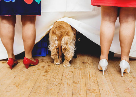 Ladies at the buffet table... | Wallpaper