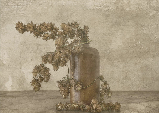 Common Hop 2 | Wallpaper