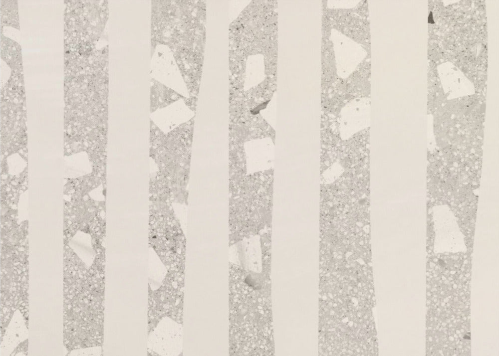 Birch Grove Shadows | Wallpaper