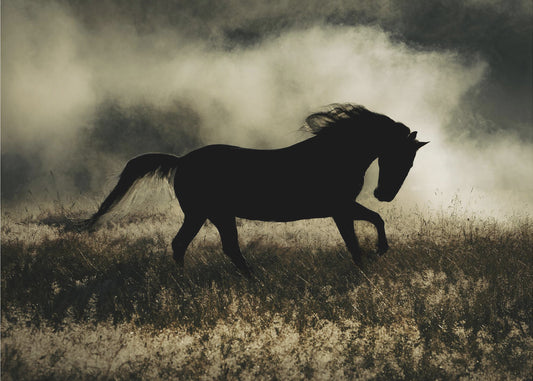 a short story about the morning glory | Wallpaper