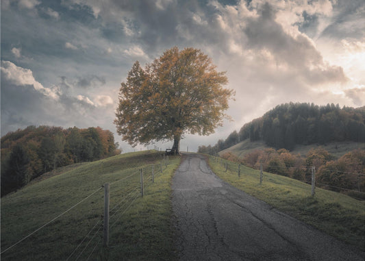 Time After Time | Wallpaper