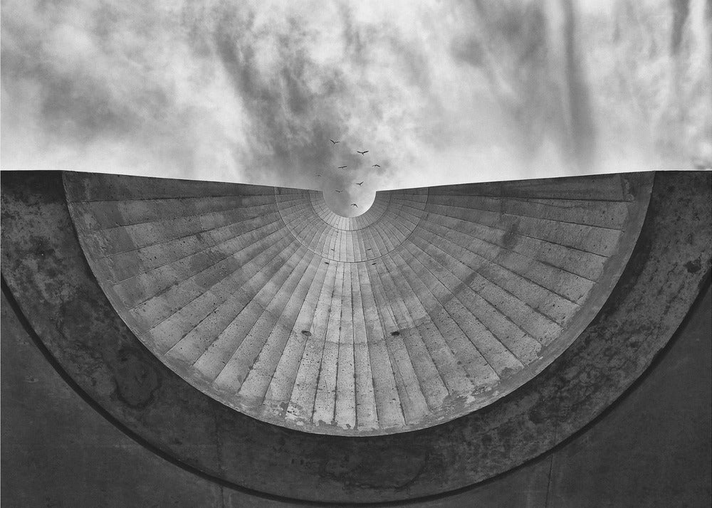 Birds without wire | Wallpaper