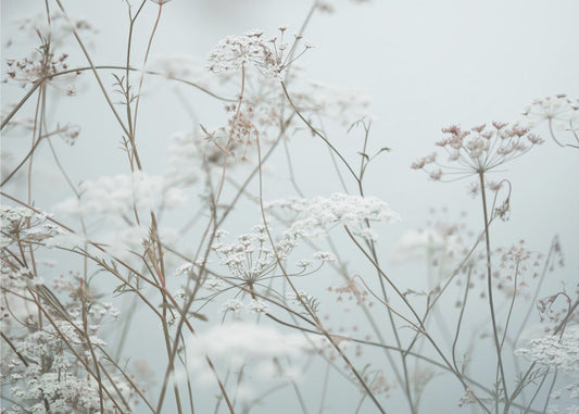 Summer Moments 12 | Wallpaper