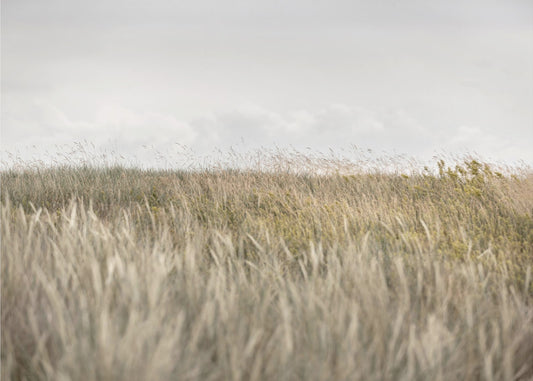 Dunes and Clouds 2 | Wallpaper