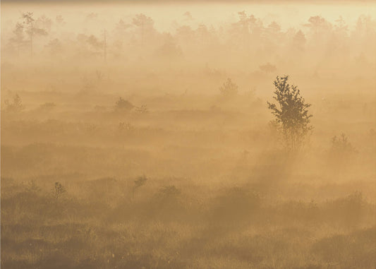 20220809  Dsf8029 2 | Poster