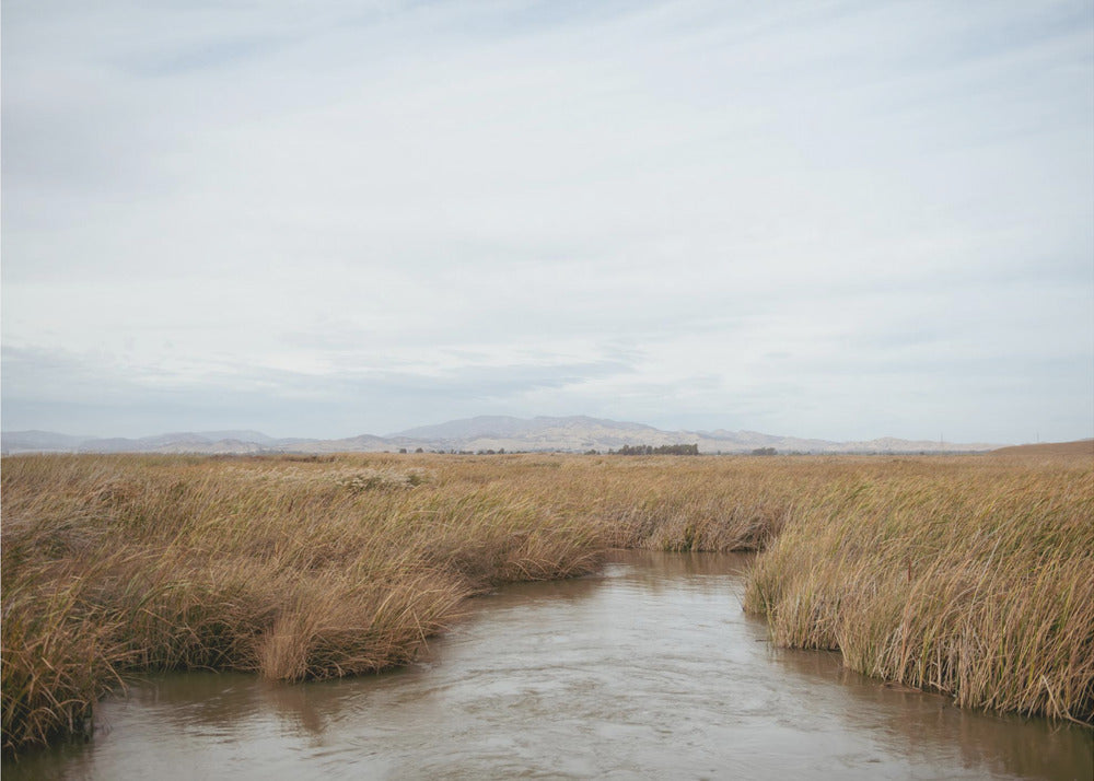 Marshland No.1 | Poster