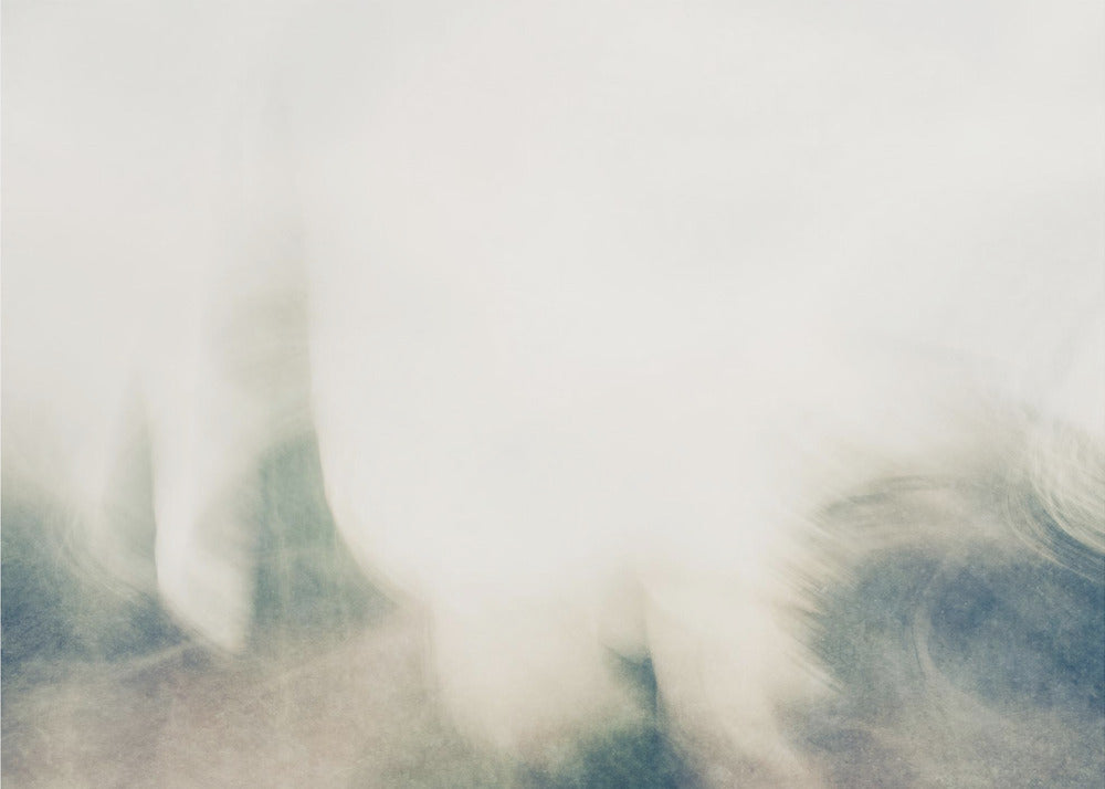 Dreamy trees | Wallpaper