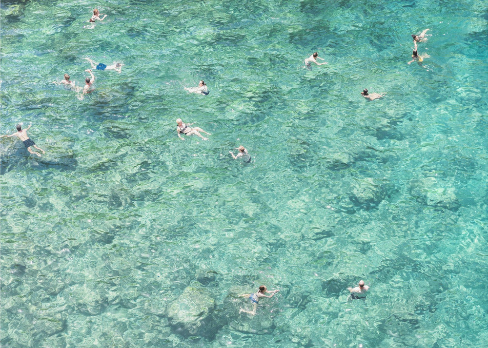 Swimming in the sea | Poster