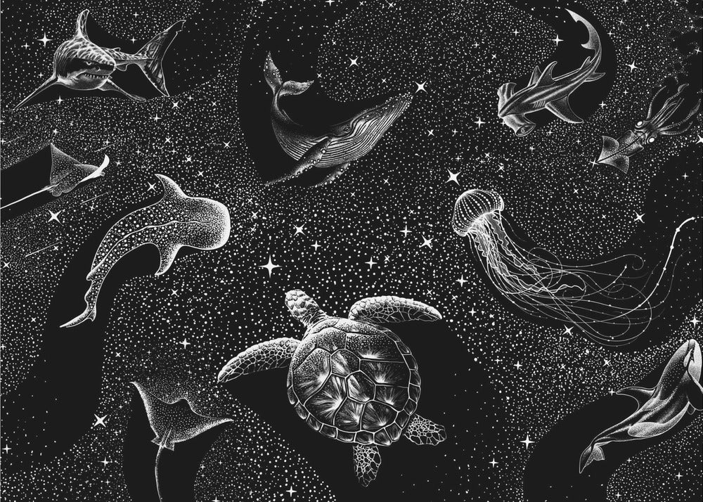 Cosmic Ocean  (Black Version) | Wallpaper