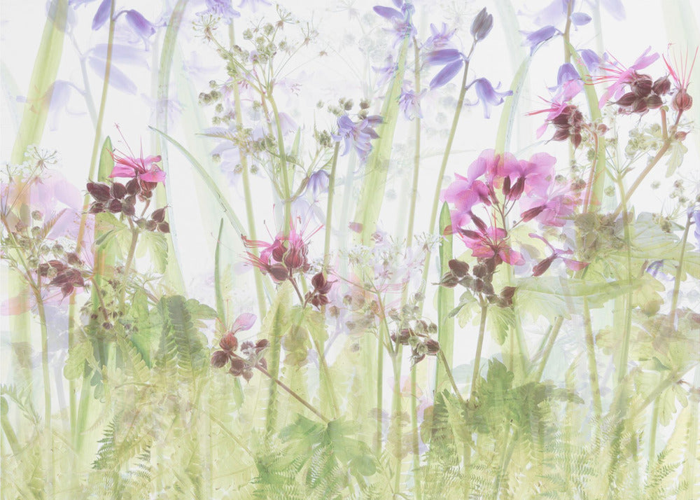 Between the grasses | Canvas