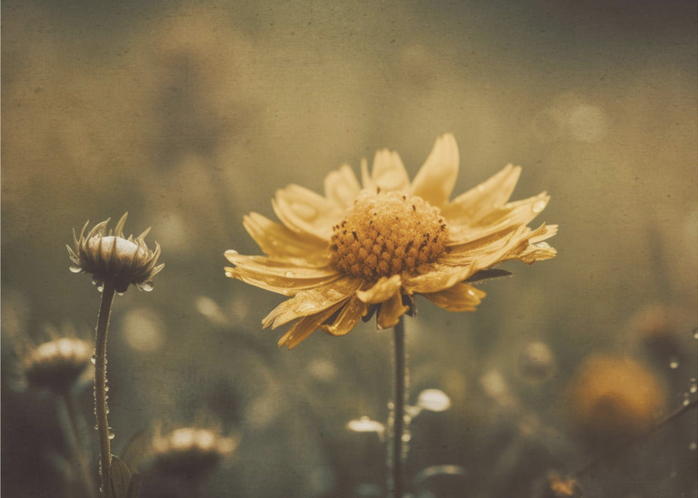 Golden Whisper | Poster