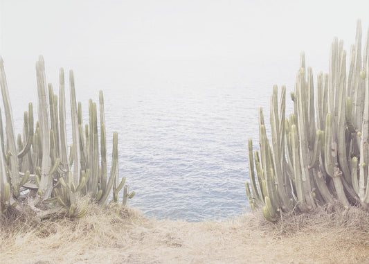 Ocean Cactus | Poster