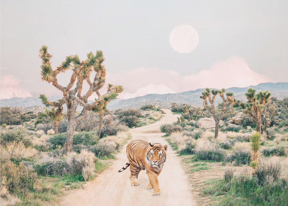 Wandering Tiger | Canvas