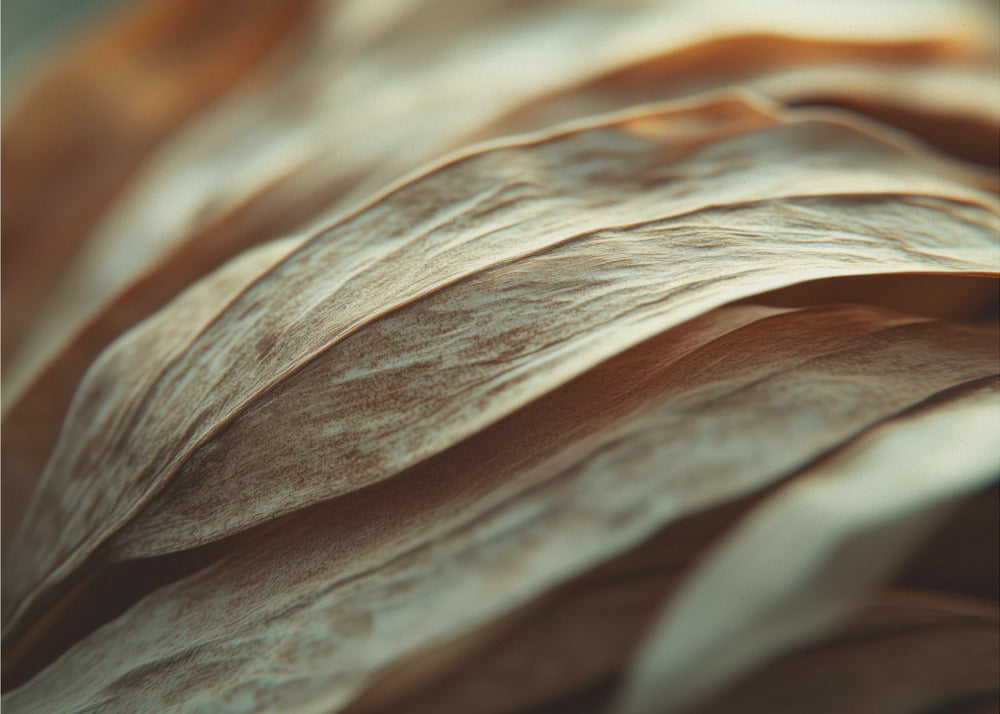 Rippling Petals | Canvas