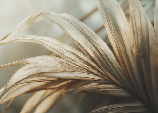 Whispering Leaves | Wallpaper