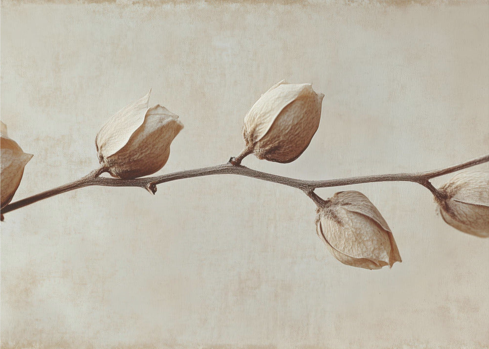 Faded Elegance | Canvas