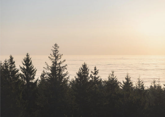 Golden Hour 2 | Poster