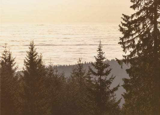 Golden Hour 5 | Poster