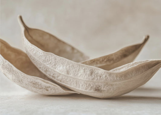 Whispers of Nature | Wallpaper