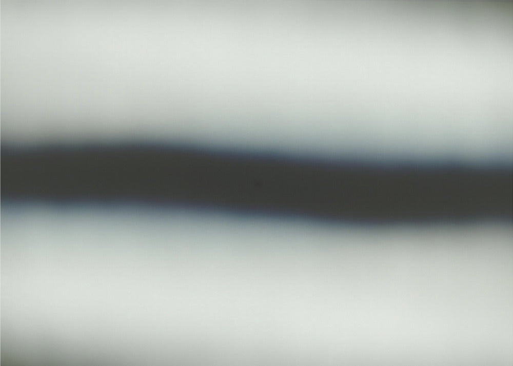 Mareike Böhmer | Canvas