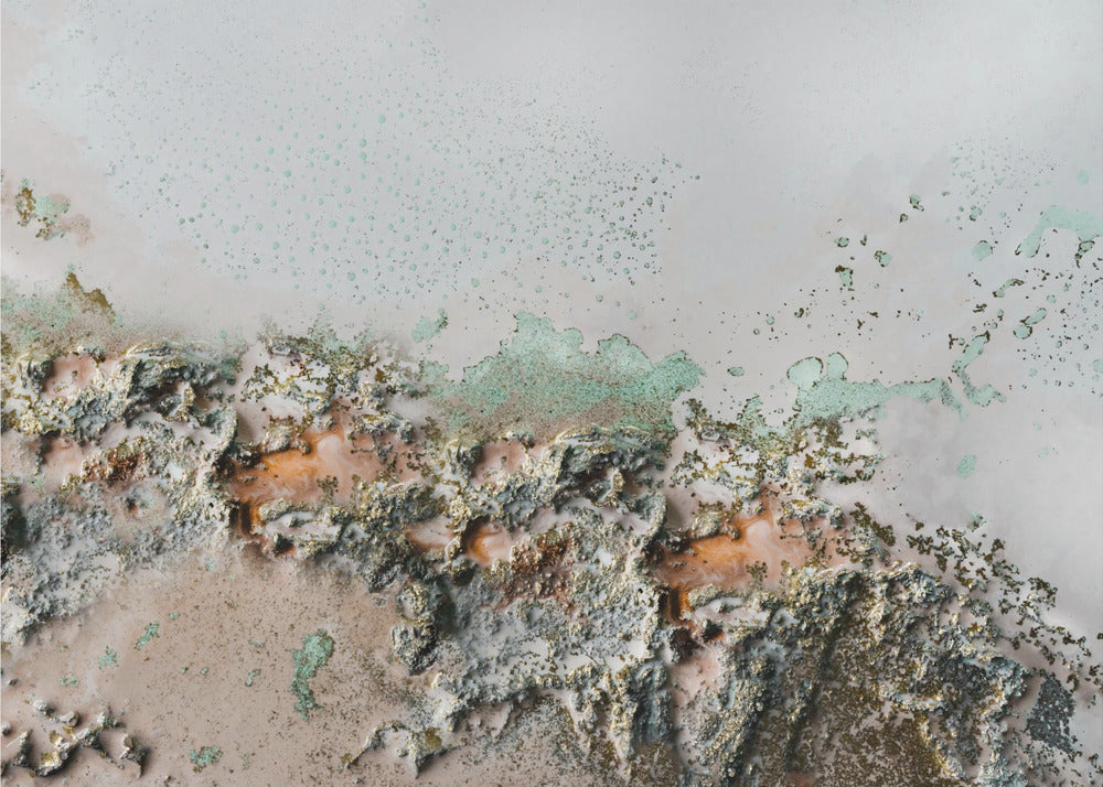 Earthly Fragments - Coastal relief art | Poster