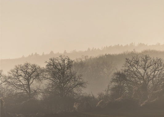 Fading Horizons 7 | Poster