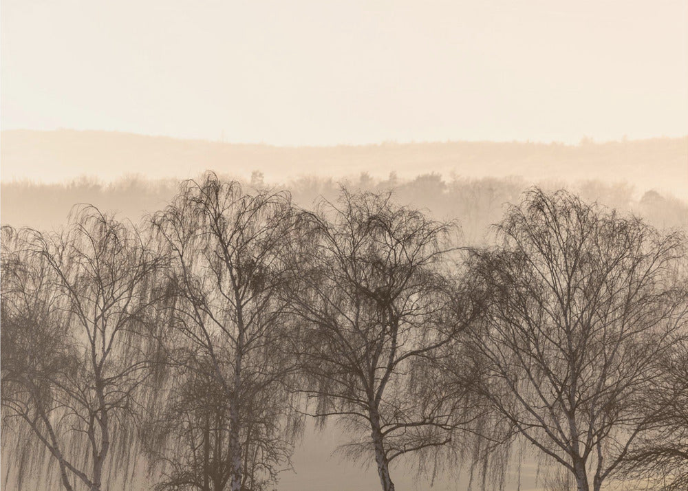 Fading Horizons 1 | Poster