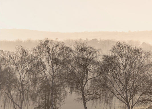 Fading Horizons 1 | Canvas