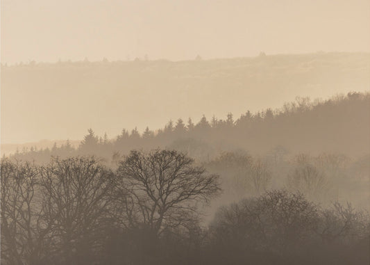 Fading Horizons 6 | Canvas