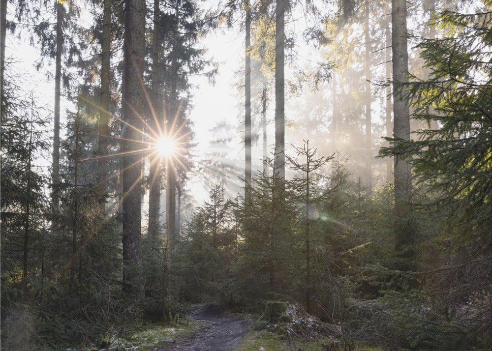 Hopeful Moments 2 | Poster