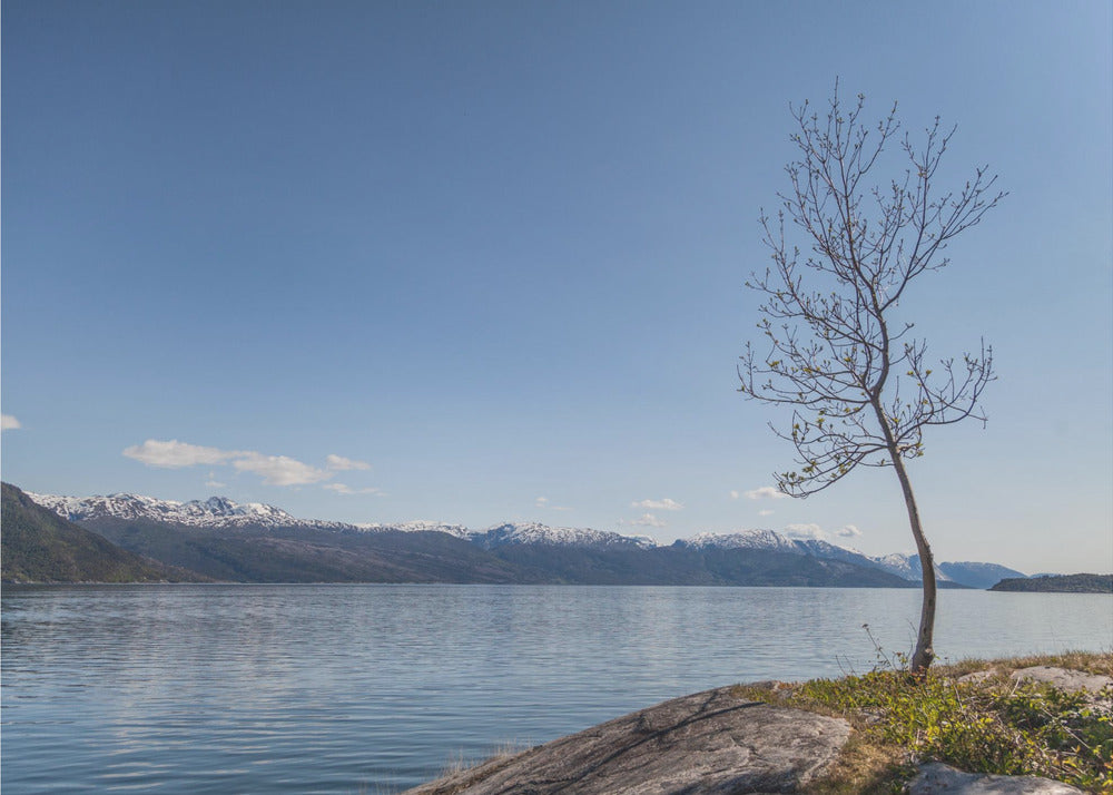 Somewhere In Norway 3 | Canvas