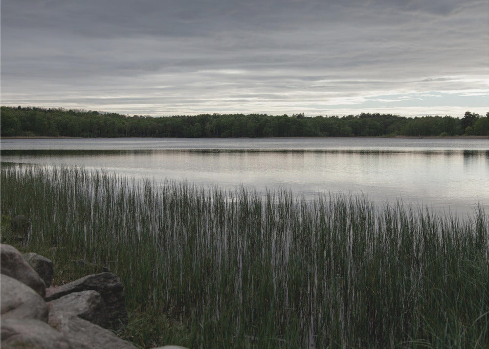 Somewhere In Sweden 1 | Canvas