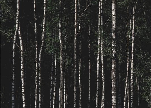 Somewhere In Sweden 4 | Poster