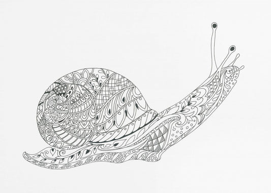 Whimsical Snail Maze | Poster