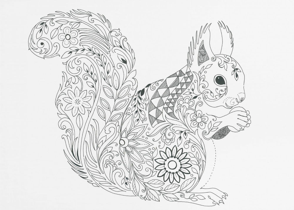 Ornate Squirrel Design | Canvas