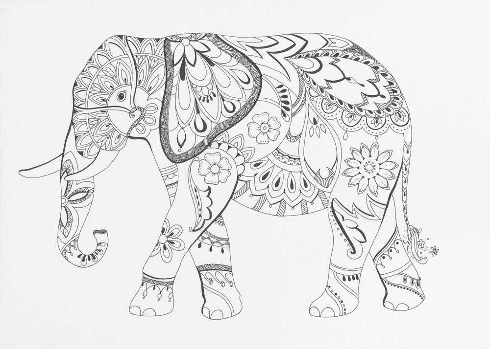 Elephant Mandala | Canvas