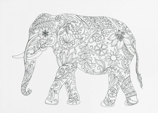 Floral Elephant | Poster
