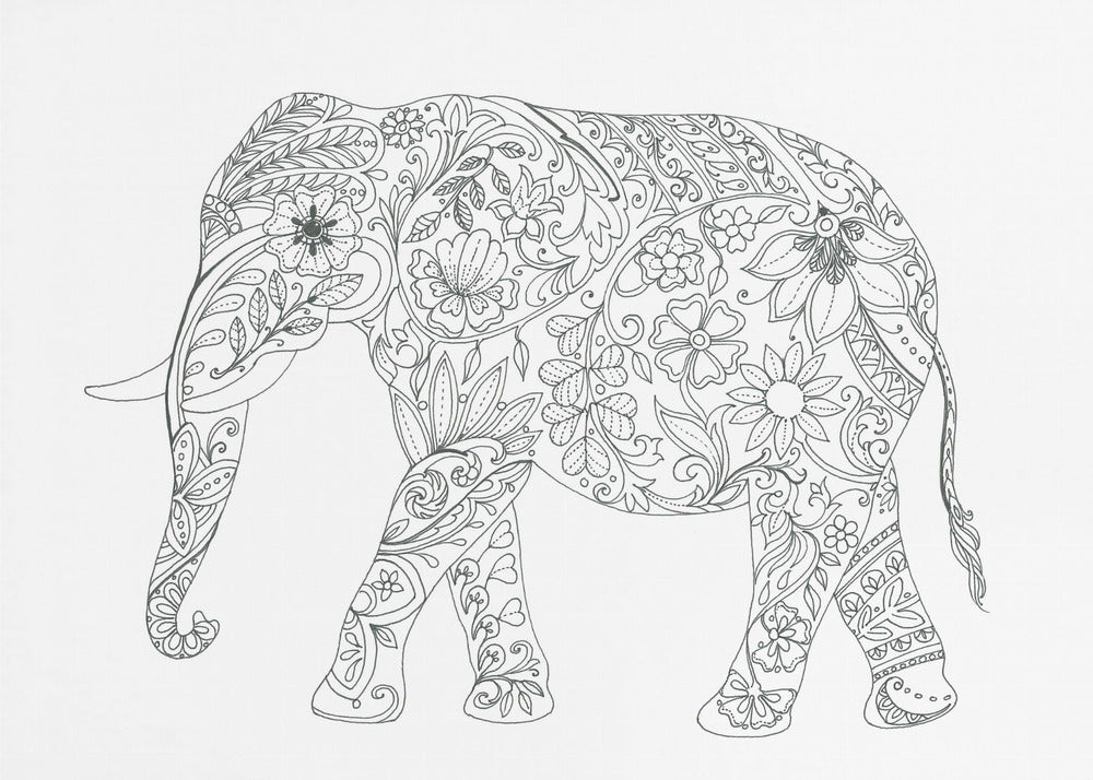 Floral Elephant | Canvas