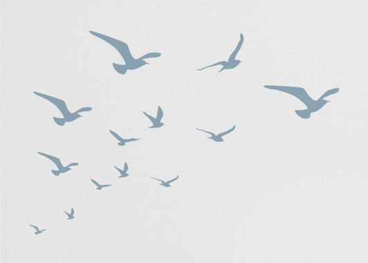 Seagulls White Background | Poster
