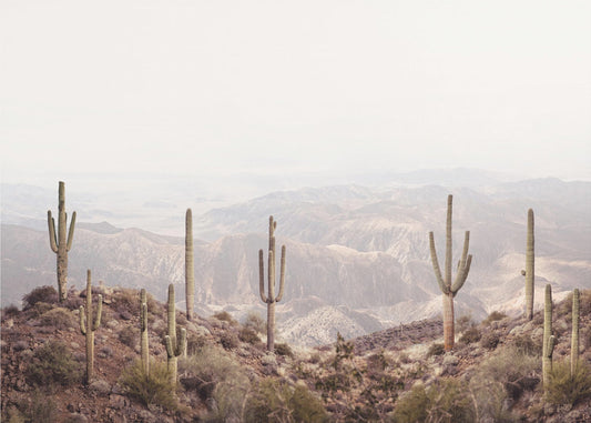 Arizona Valley | Poster