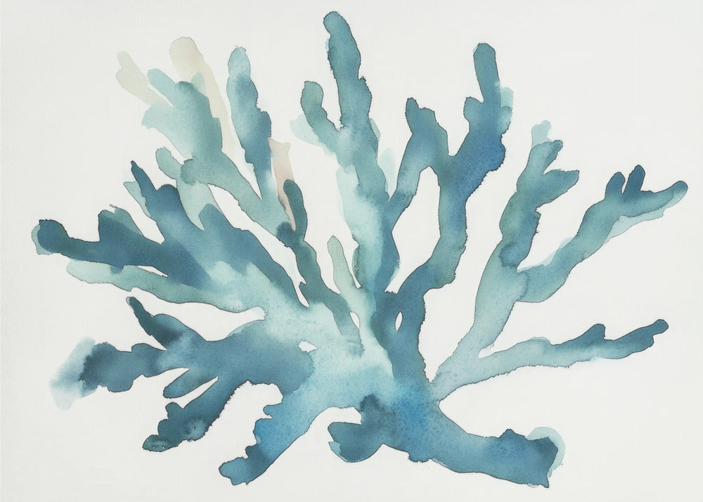 Turqoiuse Coral | Canvas